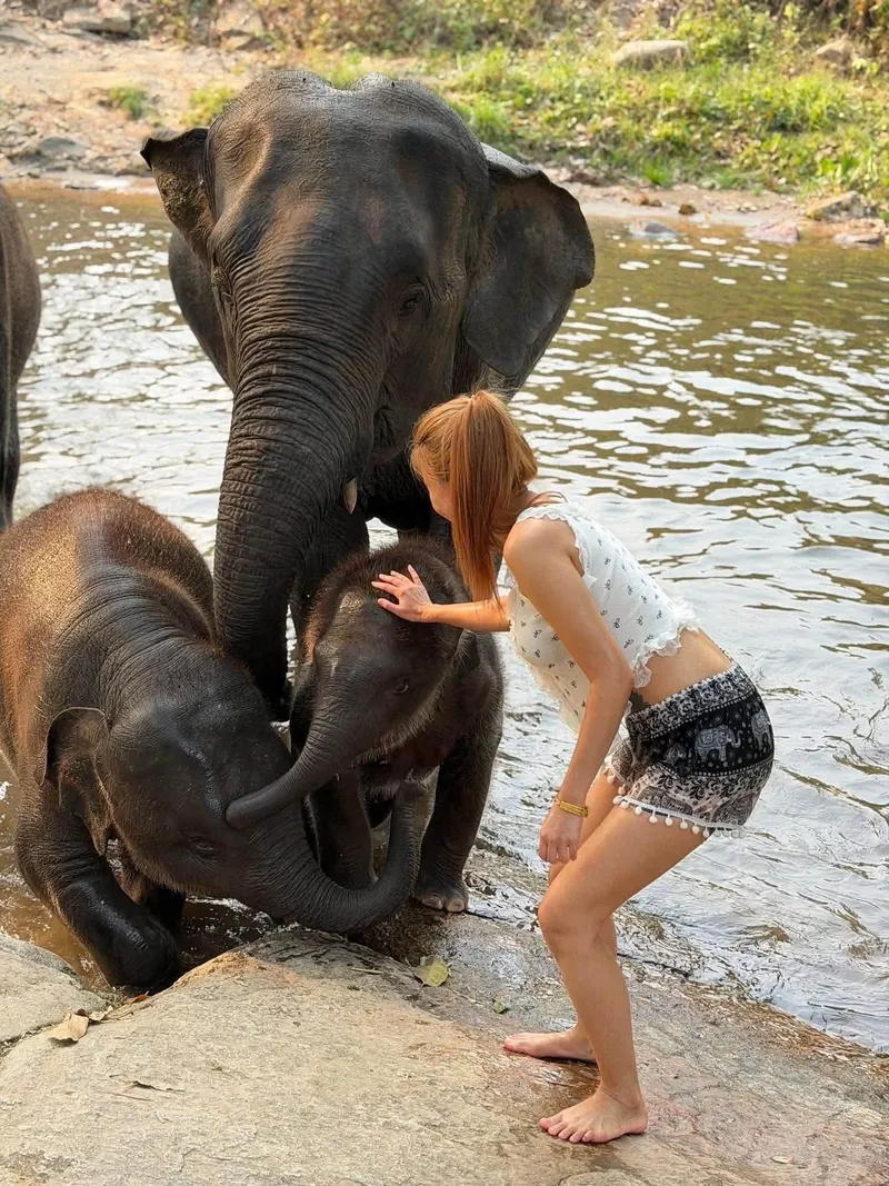 Chiang Mai "Sanktuarium Słoni"