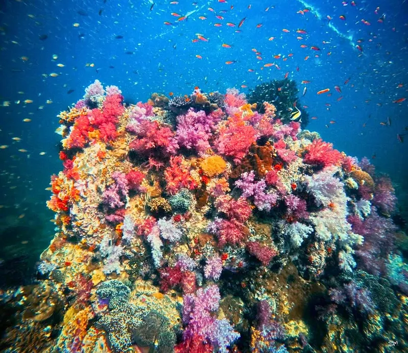 Koh Lipe — E&P Thai Travel