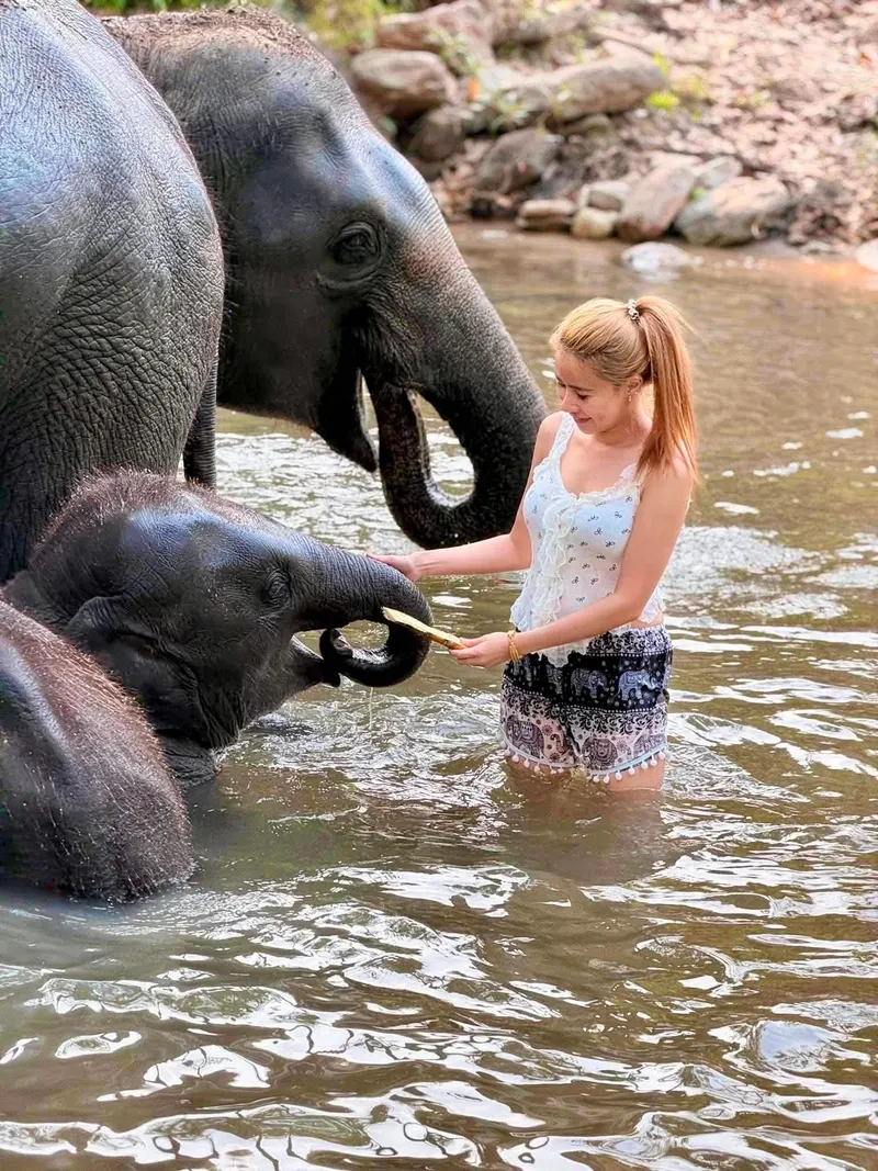 Chiang Mai "Sanktuarium Słoni"
