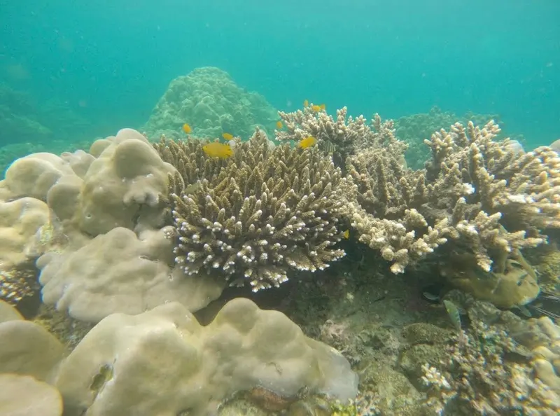 Koh Lipe — E&P Thai Travel