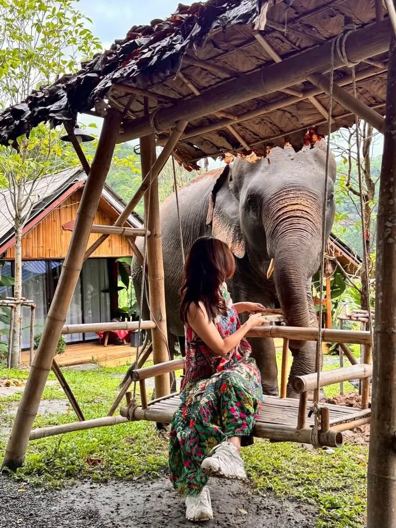 Chiang Mai "Sanktuarium Słoni"