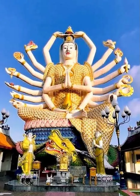 Koh Samui Zwiedzanie i Dżungli