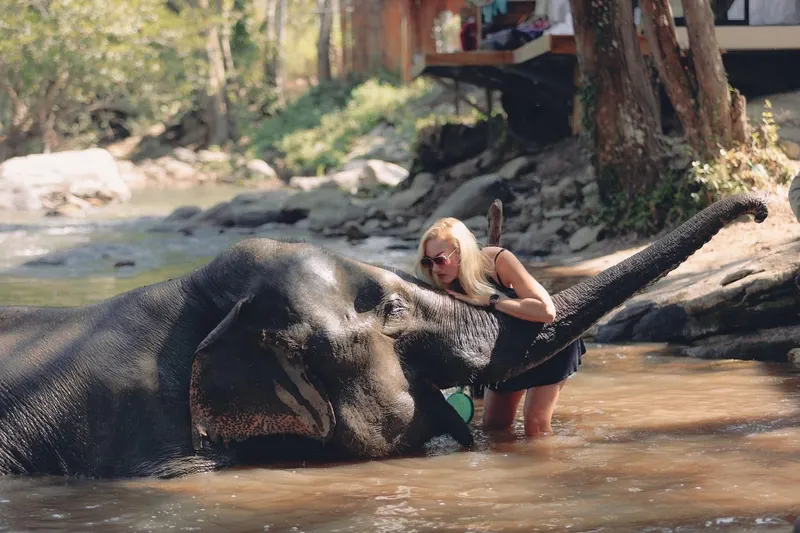 Chiang Mai "Sanktuarium Słoni"