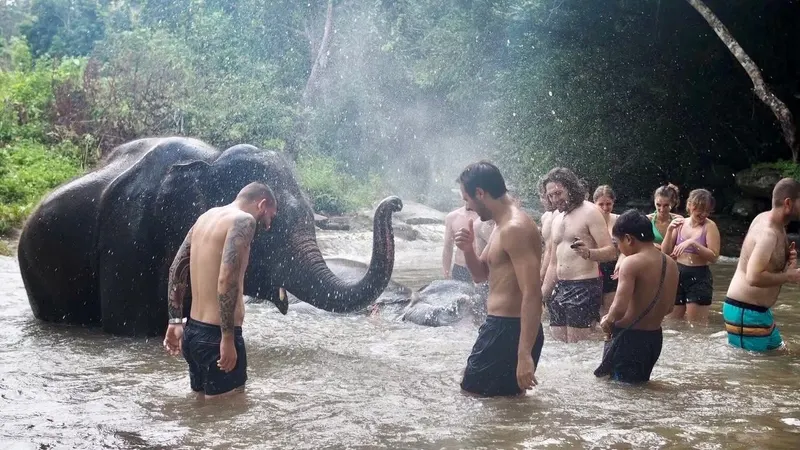 Chiang Mai "Sanktuarium Słoni"