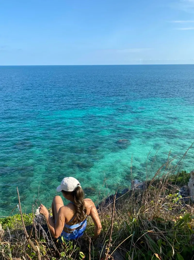 Wycieczka Zwiedzająca Delfiny i Snorkeling