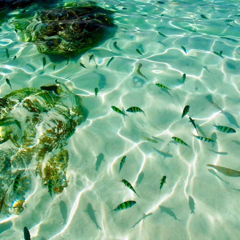 Rejs Jachtemi Phuket