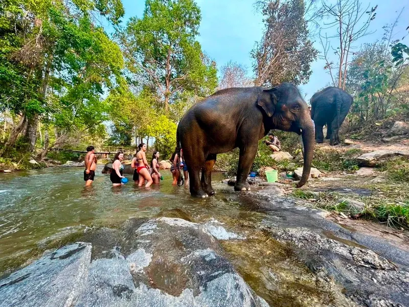 Chiang Mai Camp 2dni 1noc