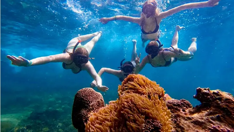 Koh Nangyuan i Koh Tao Katamaran