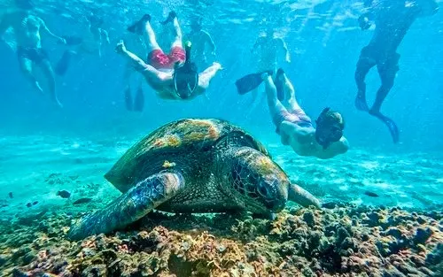 Koh Nangyuan i Koh Tao Katamaran