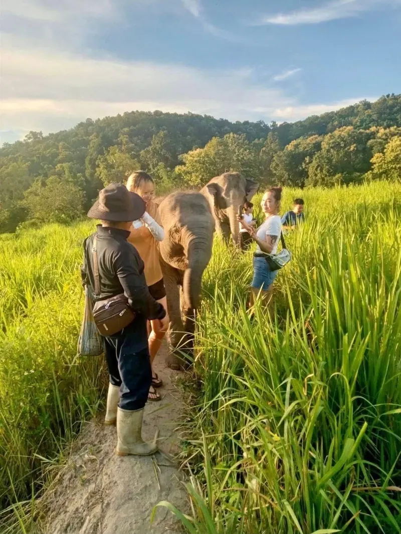 Chiang Mai Camp 2dni 1noc