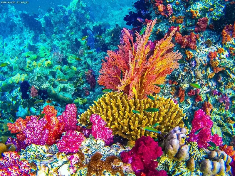 Koh Lipe — E&P Thai Travel