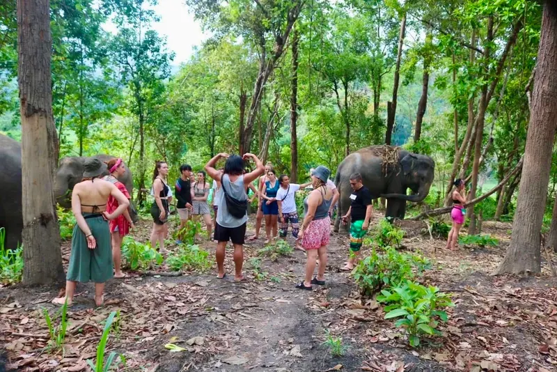 Chiang Mai Camp 2dni 1noc