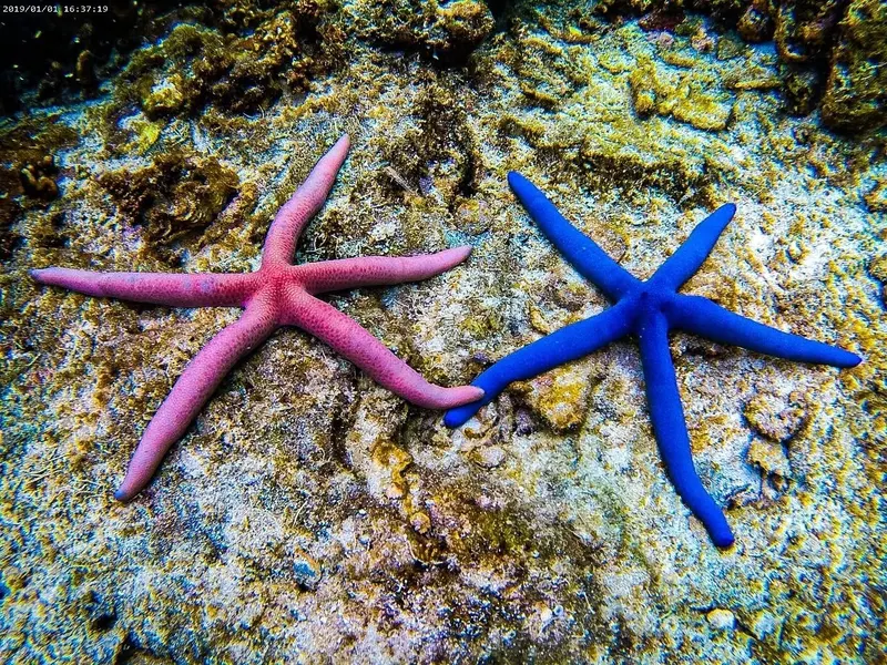 Koh Lipe — E&P Thai Travel