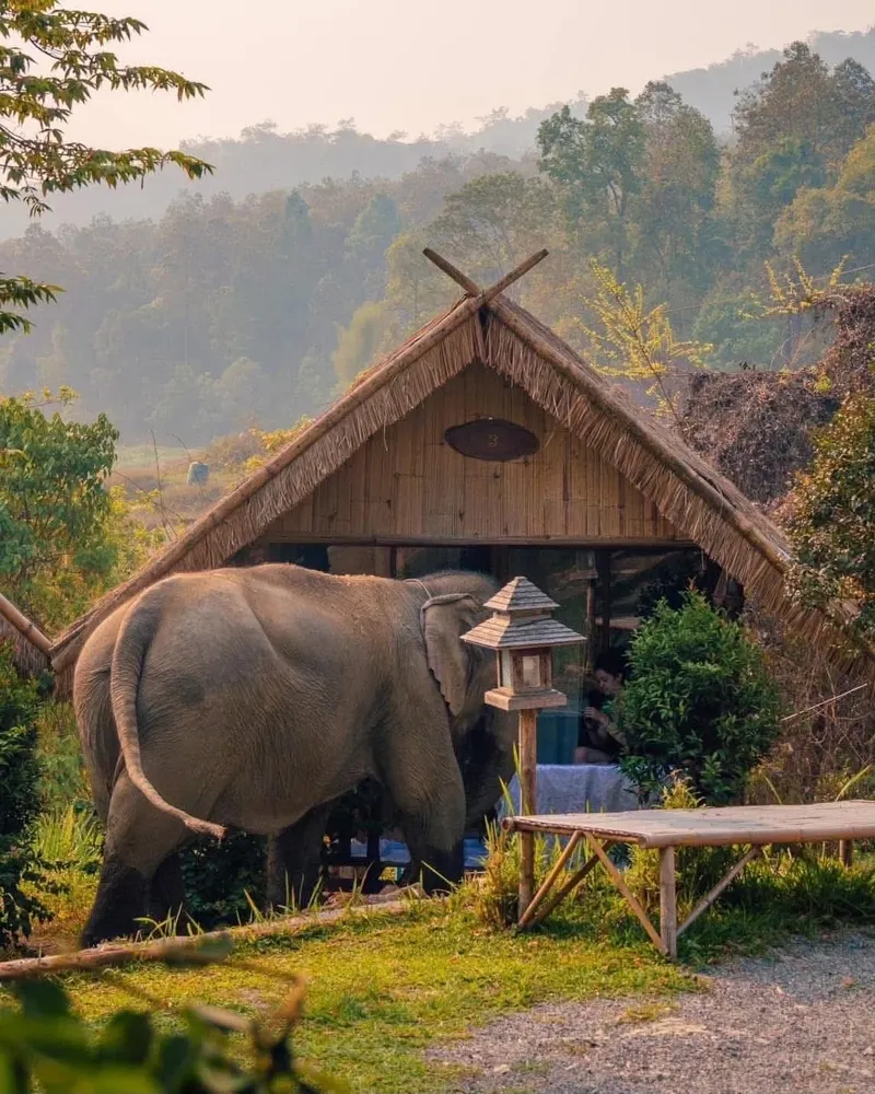 Chiang Mai Camp 2dni 1noc