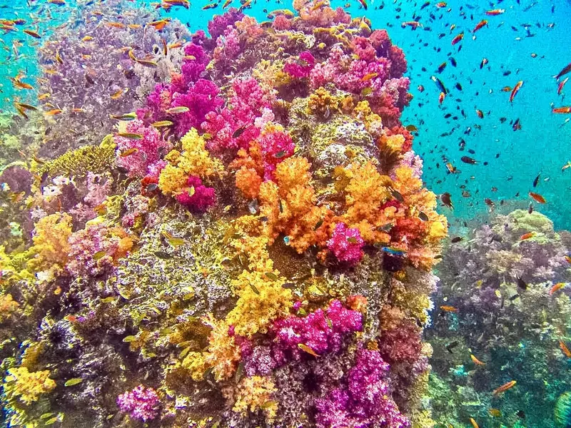 Koh Lipe — E&P Thai Travel