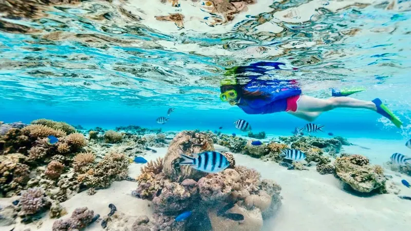 Koh Nangyuan i Koh Tao Katamaran