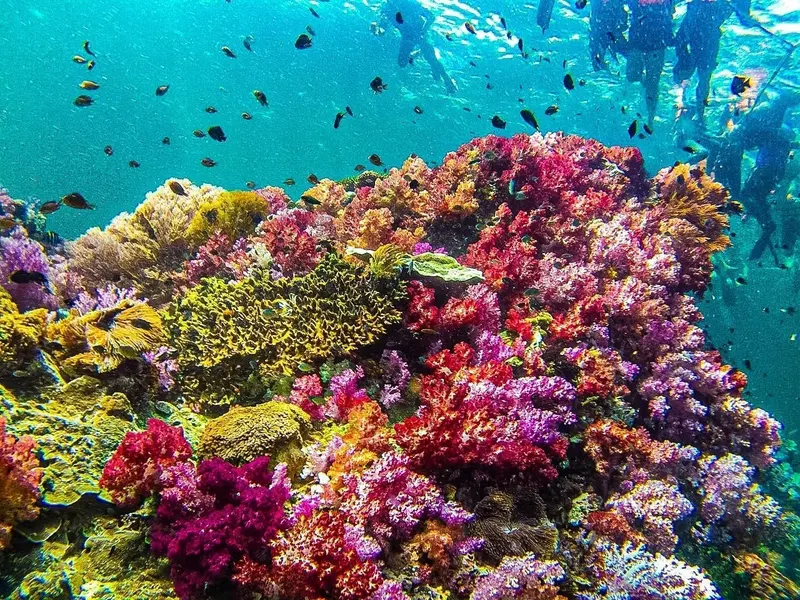 Koh Lipe — E&P Thai Travel