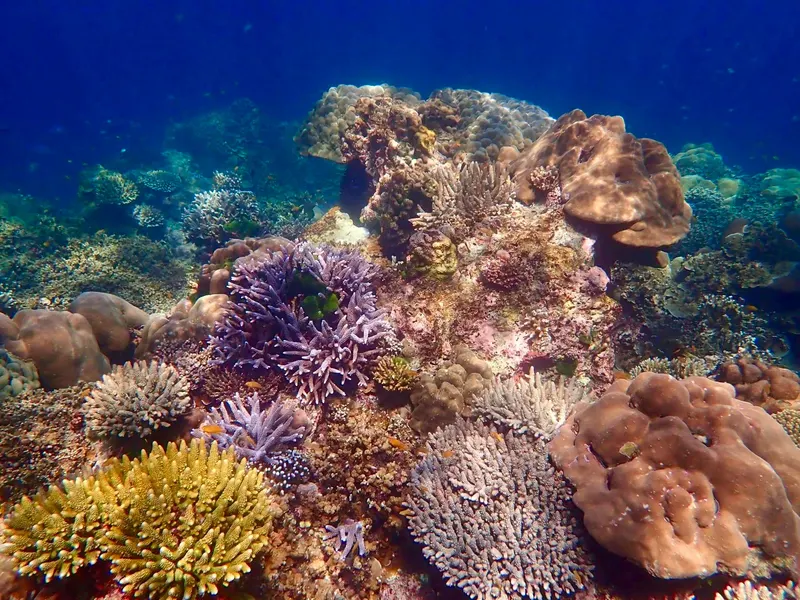 Wyspa Similan