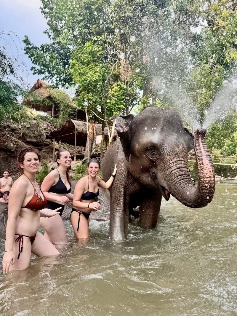 Chiang Mai "Sanktuarium Słoni"