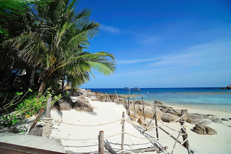 Koh Nangyuan i Koh Tao