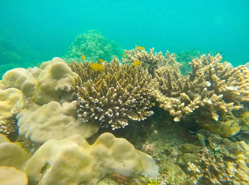 Koh Lipe — E&P Thai Travel