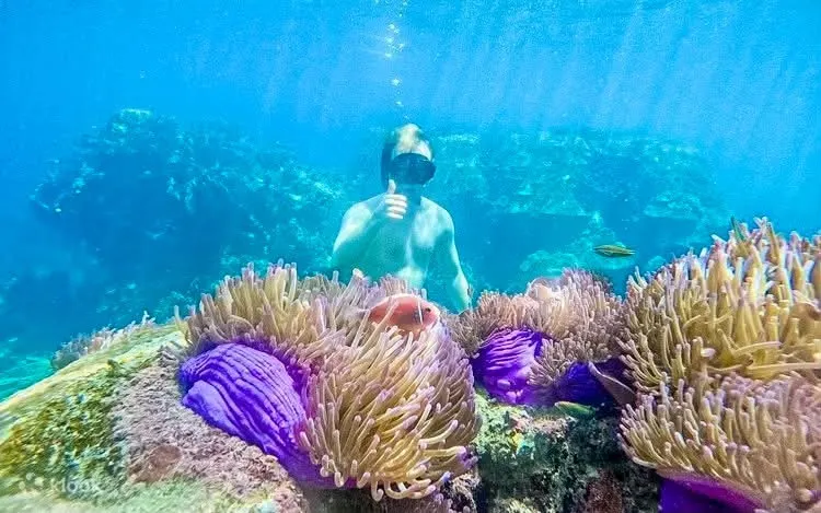 Koh Nangyuan i Koh Tao Katamaran