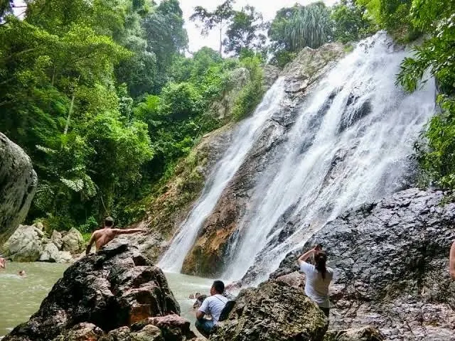 Koh Samui Zwiedzanie i Dżungli