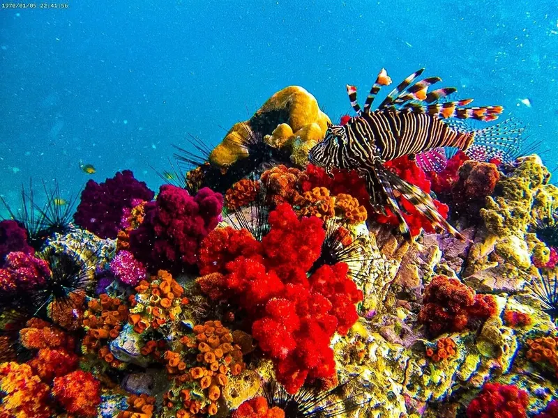 Koh Lipe — E&P Thai Travel