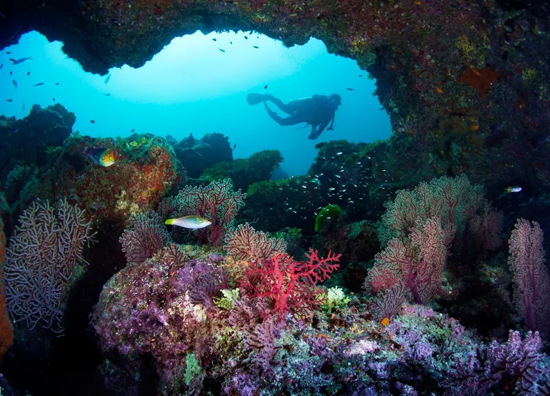 Wyspa Similan