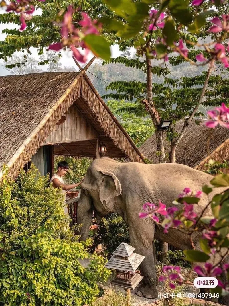 Chiang Mai Camp 2dni 1noc