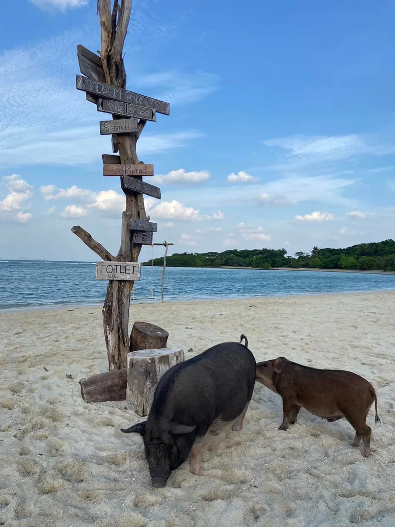 Koh Mudsum + Koh Tan — Tajlandia