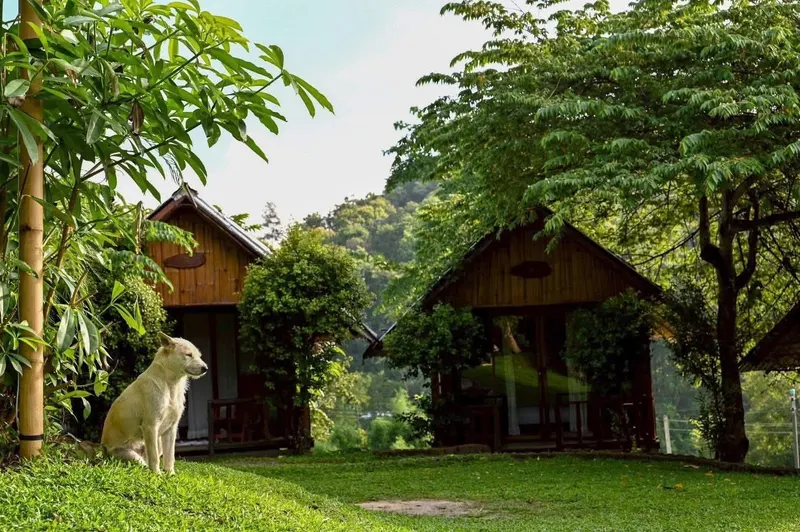 Chiang Mai Camp 2dni 1noc